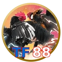 TF88